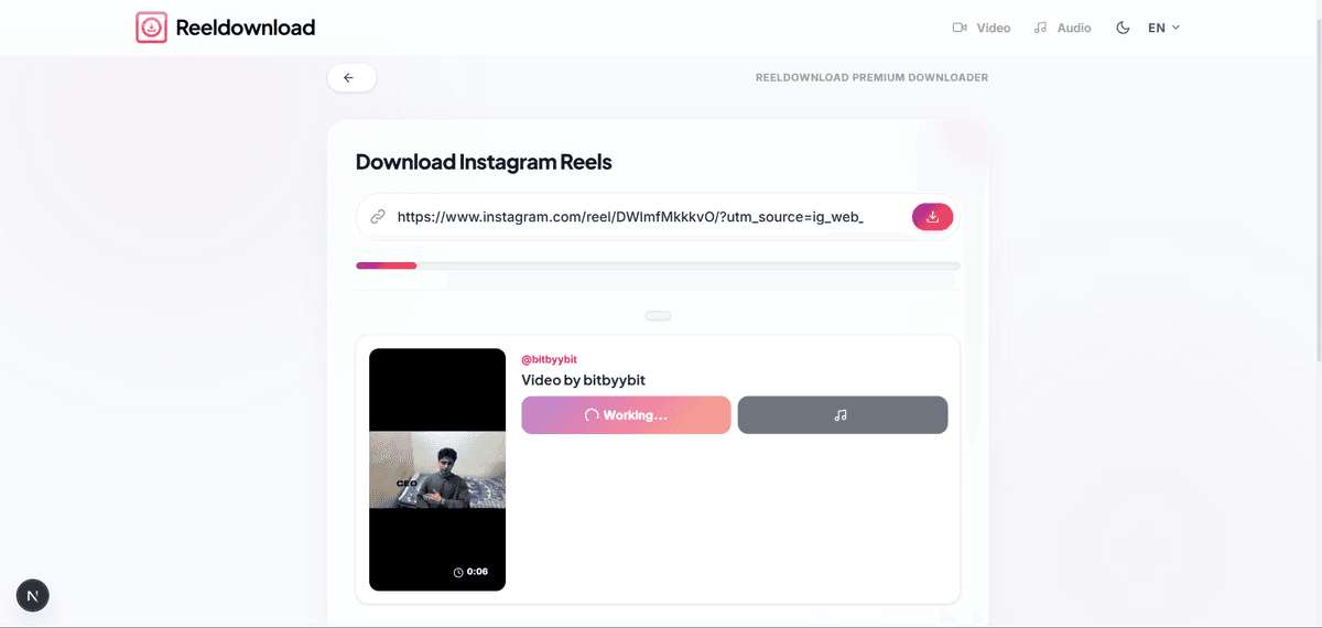 Preview and download Instagram Reel without watermark